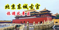 找美女操逼视频中国北京-东城古宫旅游风景区